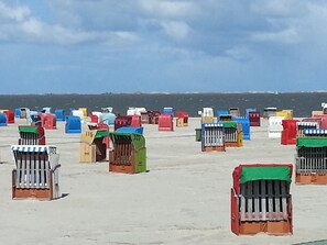 A beach with numerous colorful beach chairs arranged in rows. - Vacation with child and dog, max. 4 persons, WLAN free of charge (Neßmersiel)
