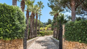 Un sendero pavimentado bordeado por muros de piedra y altas palmeras, que conduce a un edificio con entrada porticada.