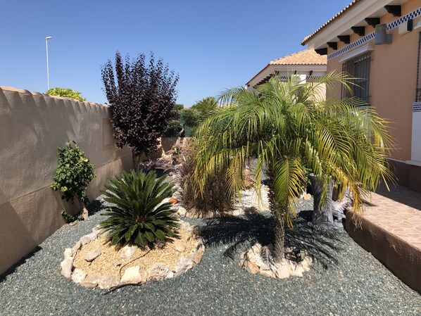 A landscaped garden with various plants and a stone pathway.