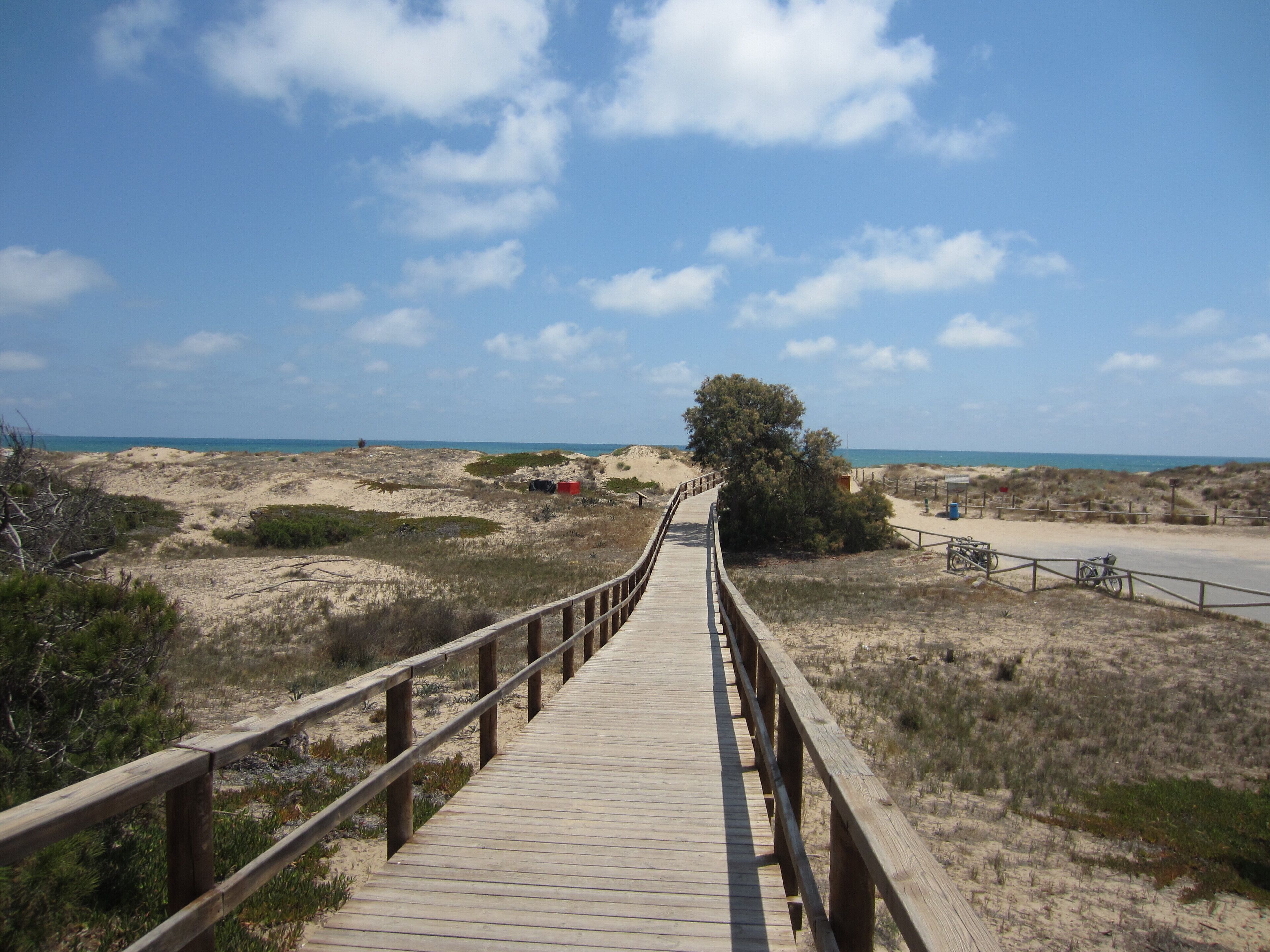 Playa en los alrededores, camastros y toallas de playa 