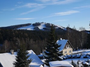 A house with a sloped roof and a chimney, surrounded by snow-covered trees and a mountain in the background.