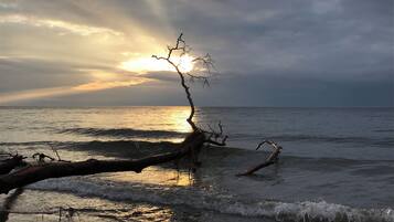 Ligstoelen aan het strand