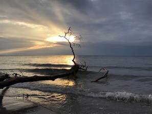 サンラウンジャー