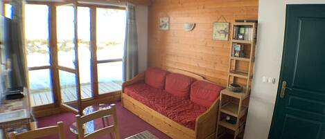 TV, DVD player, books, video library