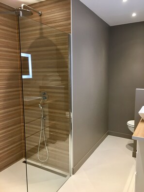 Shower, hair dryer, towels, soap