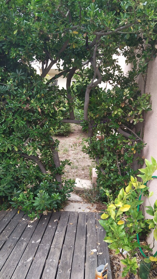 Property grounds - ground floor apartment (Hyères)