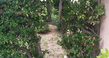 pohjakerroksen huoneisto