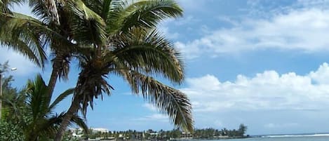 Una spiaggia nelle vicinanze