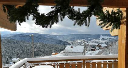 Nature, forest edge, stream, bbq, sauna, wifi, billiards, electric charging station