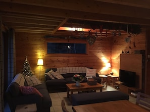 TV, fireplace, DVD player, books