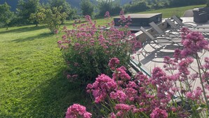 Ein Gartenbereich mit rosa Blumen, einer grünen Rasenfläche und einem Gebäude mit Schrägdach.