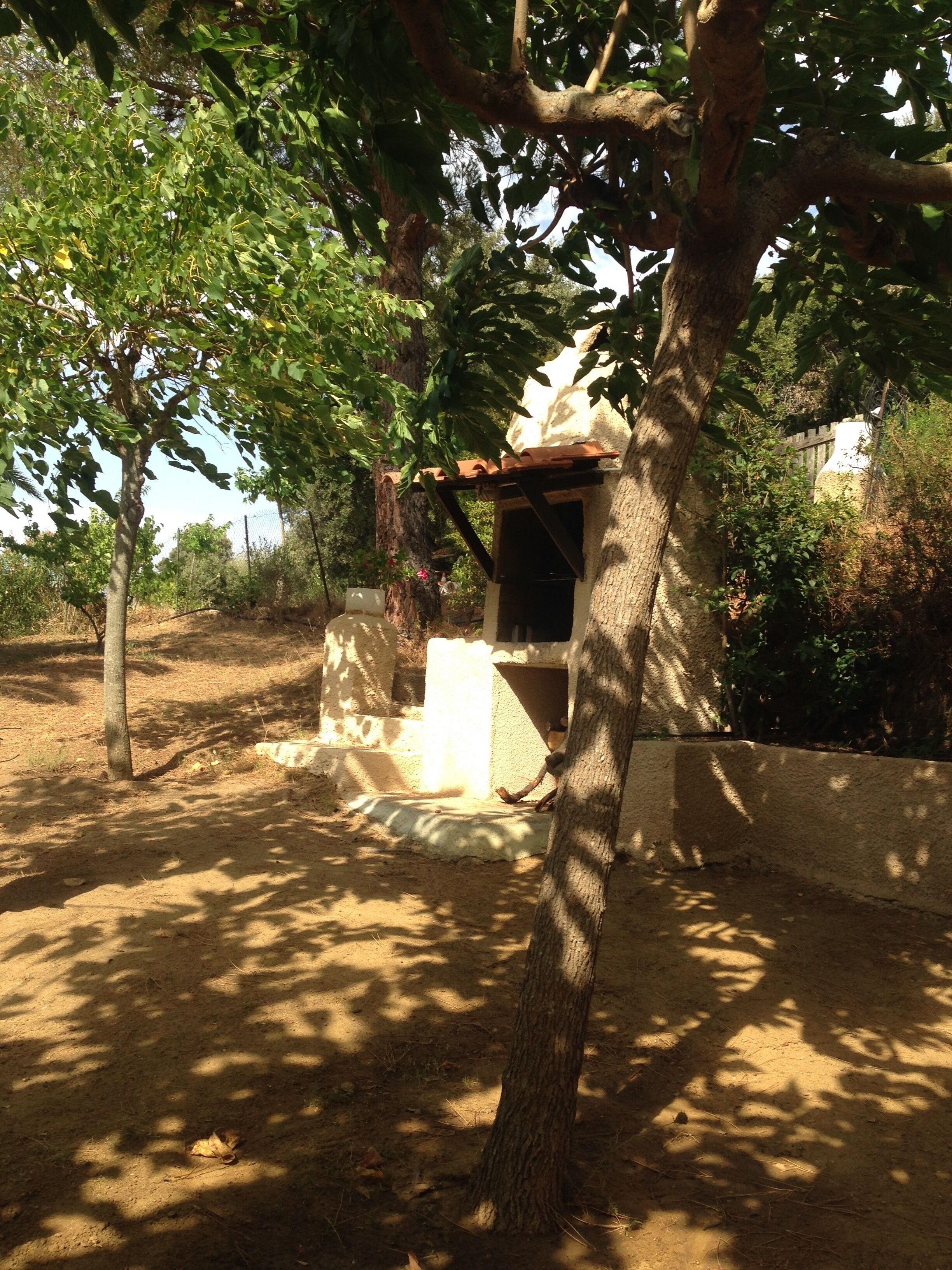 A tree with a small structure under it, possibly a shed or storage area, surrounded by dry ground and sparse vegetation.
