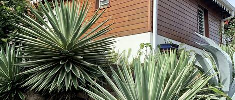 Une maison à l’extérieur brun et aux bordures blanches, entourée de grands plants d’agave.