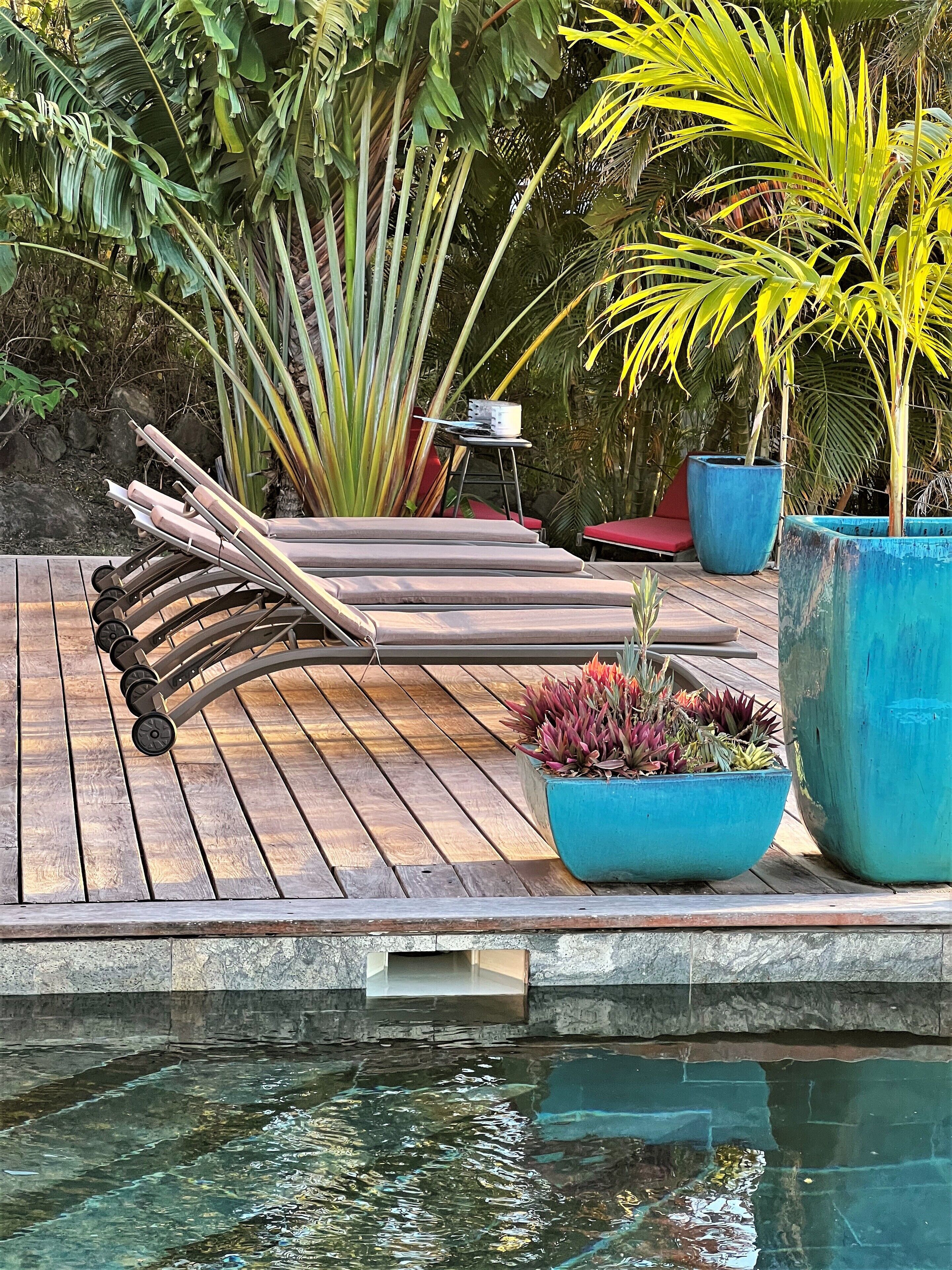 Una terraza de madera con sillones de descanso, una mesita y una planta en maceta.