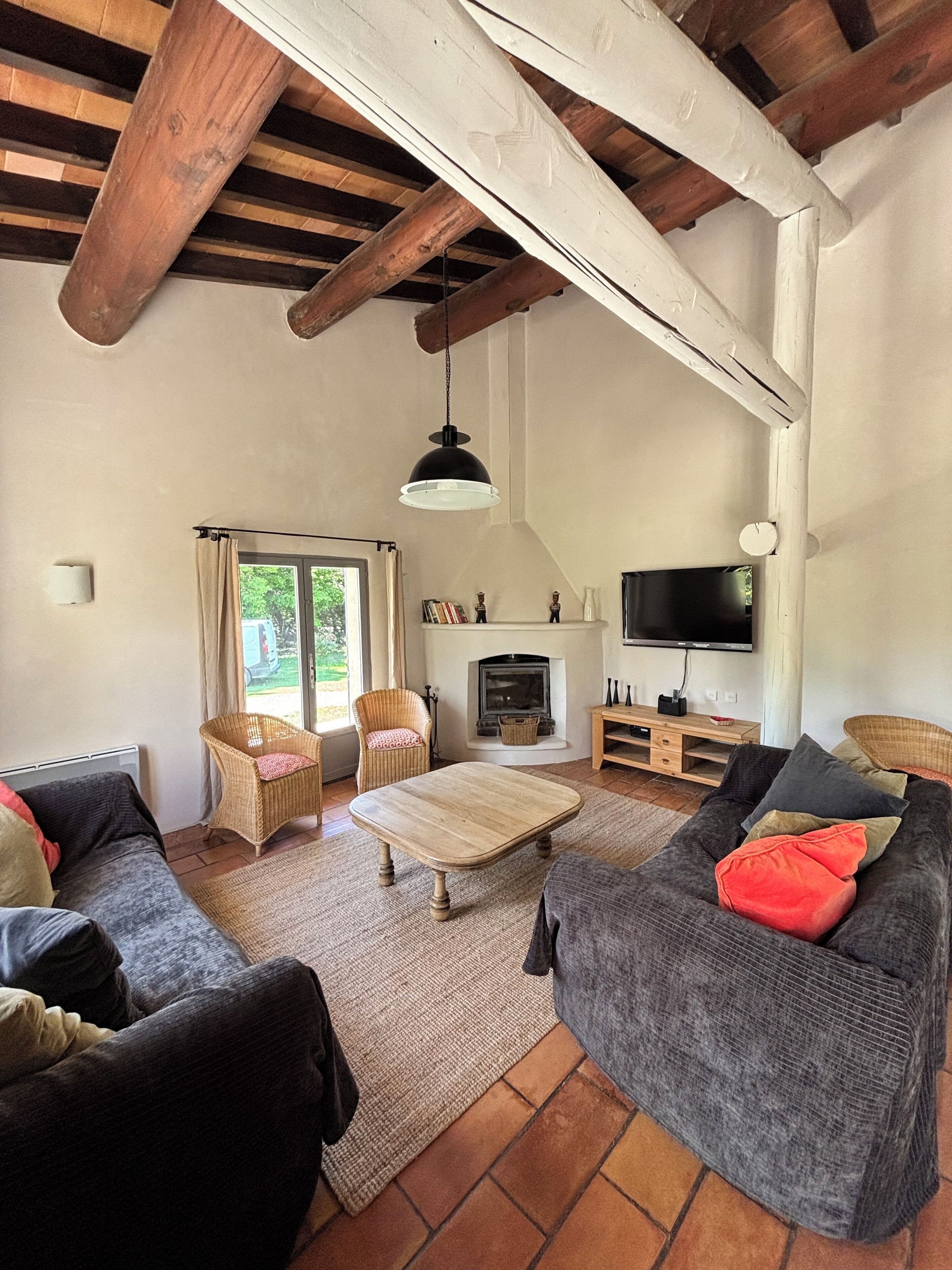 TV, fireplace, table tennis, books