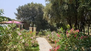 Un chemin de pierres qui traverse un jardin où l’on trouve différentes plantes à fleurs et arbres.