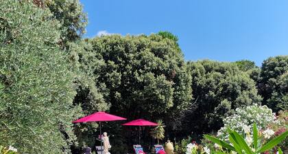 Vacation home in Montolieu - Village du livre et des arts en Occitanie.