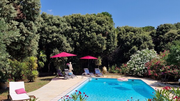 Une piscine entourée d’une végétation luxuriante, avec des chaises longues et des parasols.