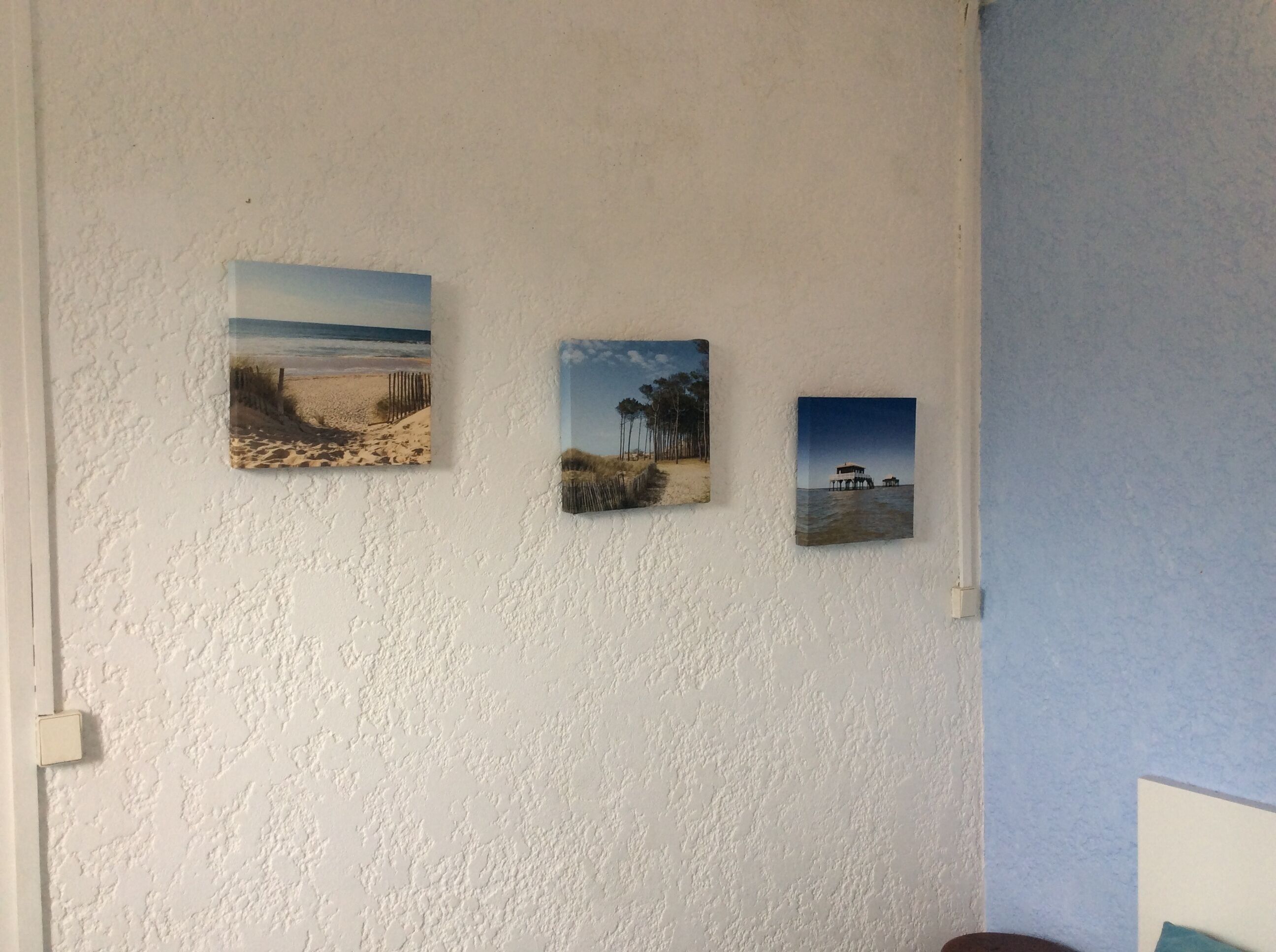 Nature, forest and beach holiday home.