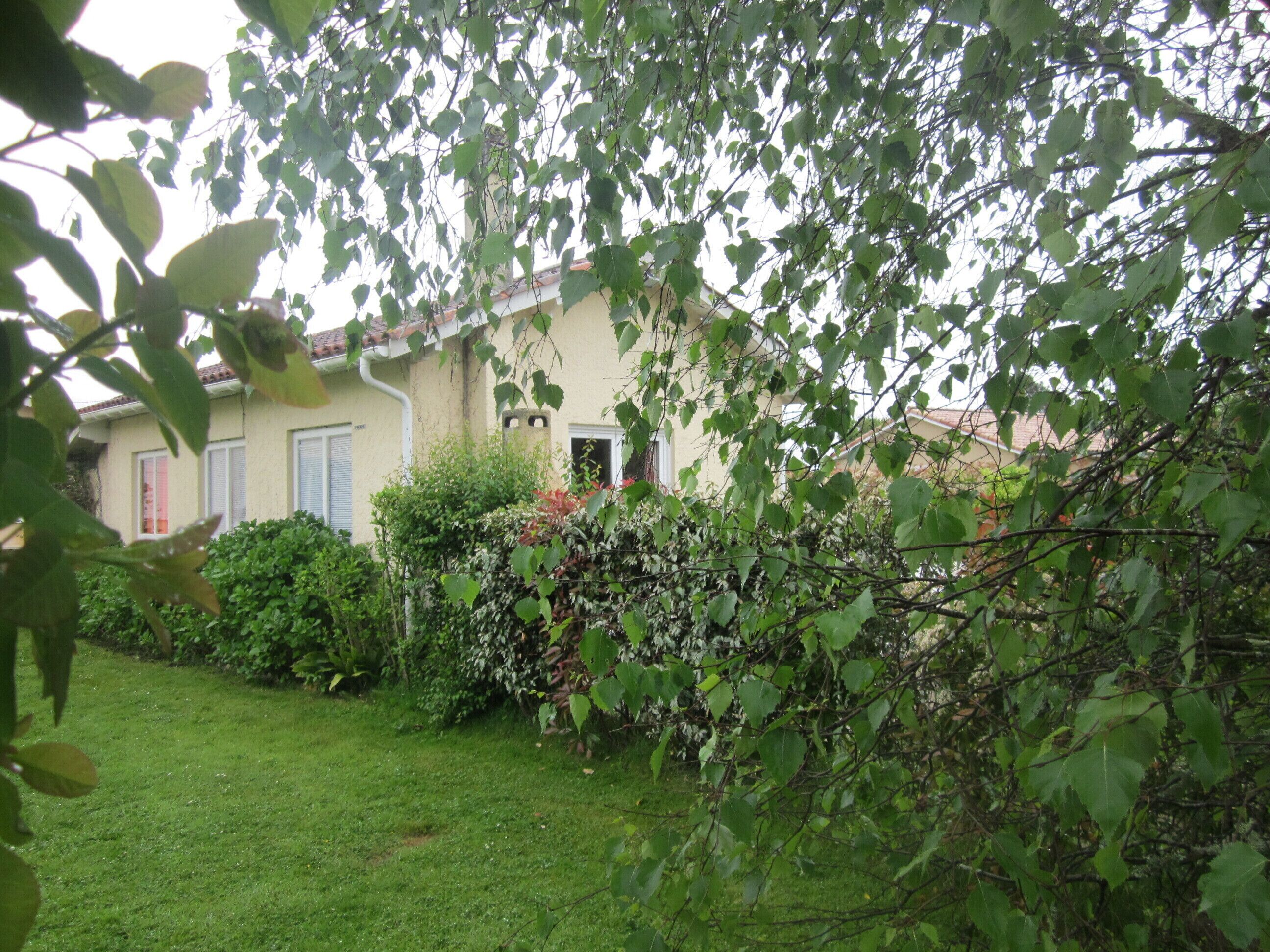 Nature, forest and beach holiday home.