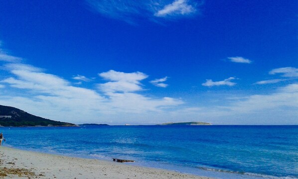 Beach nearby - CHARMING VILLA WITH PRIVATE POOL 4 TO 5 PEOPLE NEAR PALOMBAGGIA (PORTO VECCHIO)