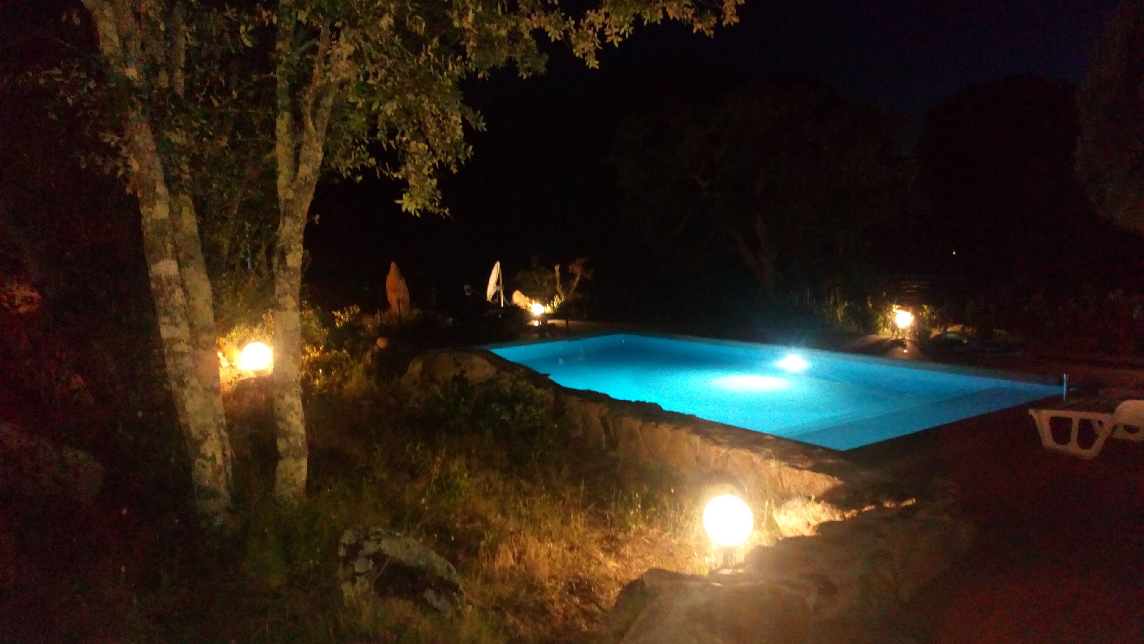 Ein Schwimmbecken bei Nacht, umgeben von Bäumen und Lichtern.