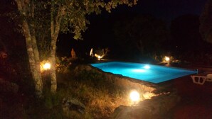 A swimming pool at night with surrounding trees and lights. - CHARMING VILLA WITH PRIVATE POOL 4 TO 5 PEOPLE NEAR PALOMBAGGIA (PORTO VECCHIO)