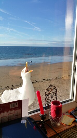 Beach nearby, sun-loungers, beach towels