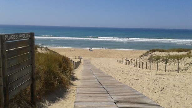 Strand