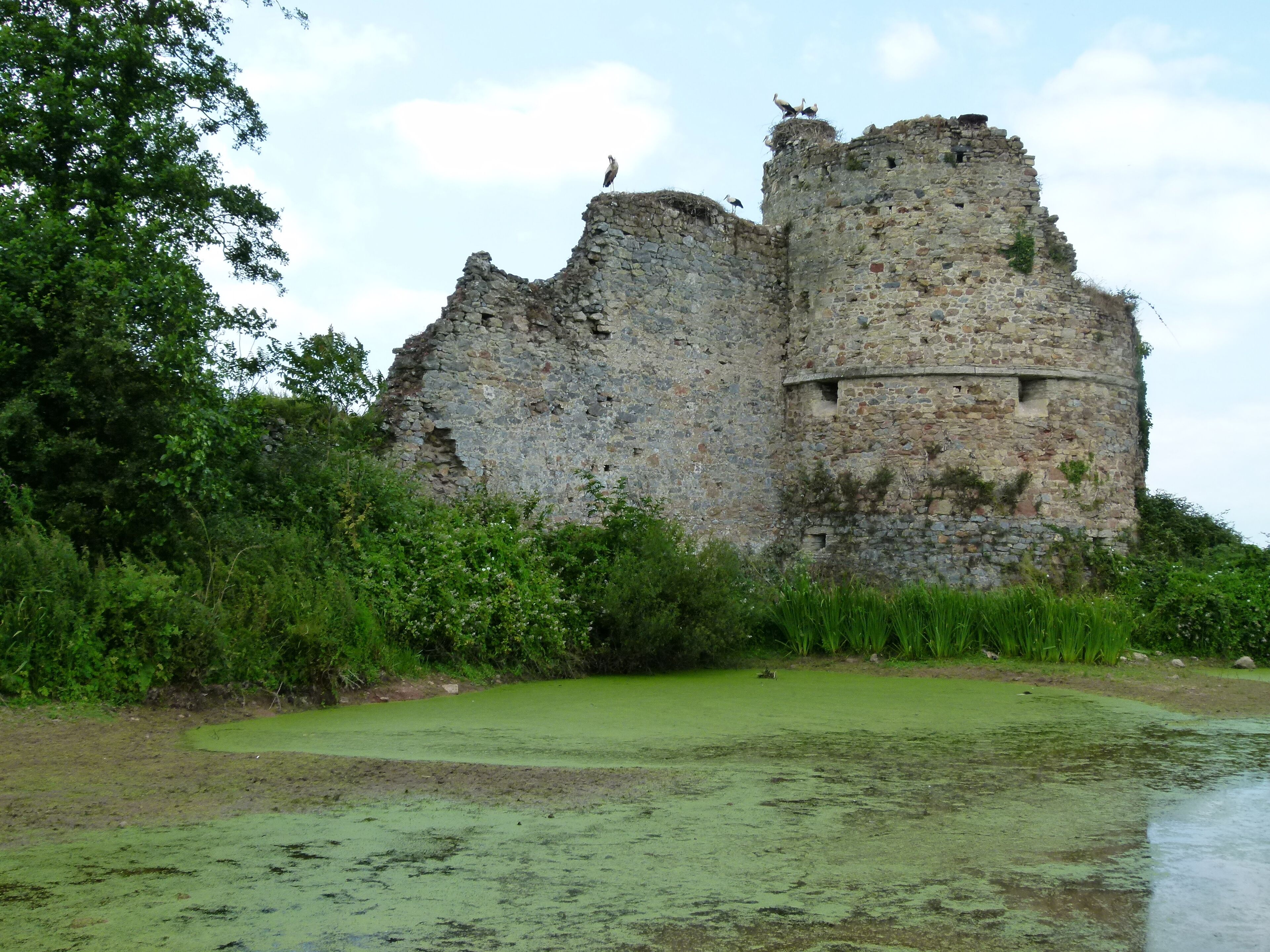 chateau de la rivière 1