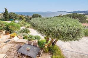 Eine Terrasse mit Tisch und Stühlen, umgeben von Olivenbäumen und Kübelpflanzen, mit Blick auf eine Küstenlandschaft.