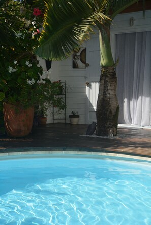 Una piscina con una palmera y plantas en macetas.