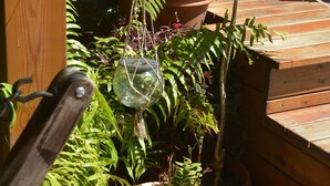 Een houten terras met potplanten, waaronder een hangend glazen terrarium en verschillende soorten blad.