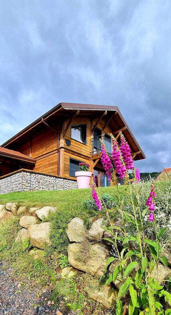 Exterior - Recent fenced chalet view of nature and mountains wifi charges included (Gerbépal)