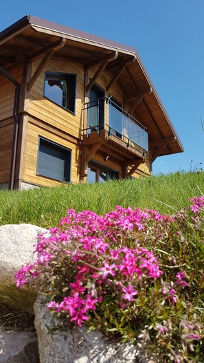 Exterior detail - Recent fenced chalet view of nature and mountains wifi charges included (Gerbépal)