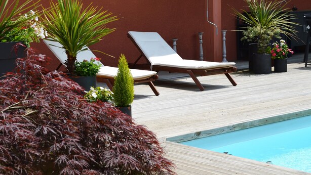 A poolside area with two lounge chairs, a small pool, and various potted plants.