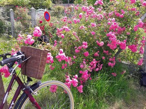 Bicycles may be parked in the garden, surrounded by vibrant flowers.