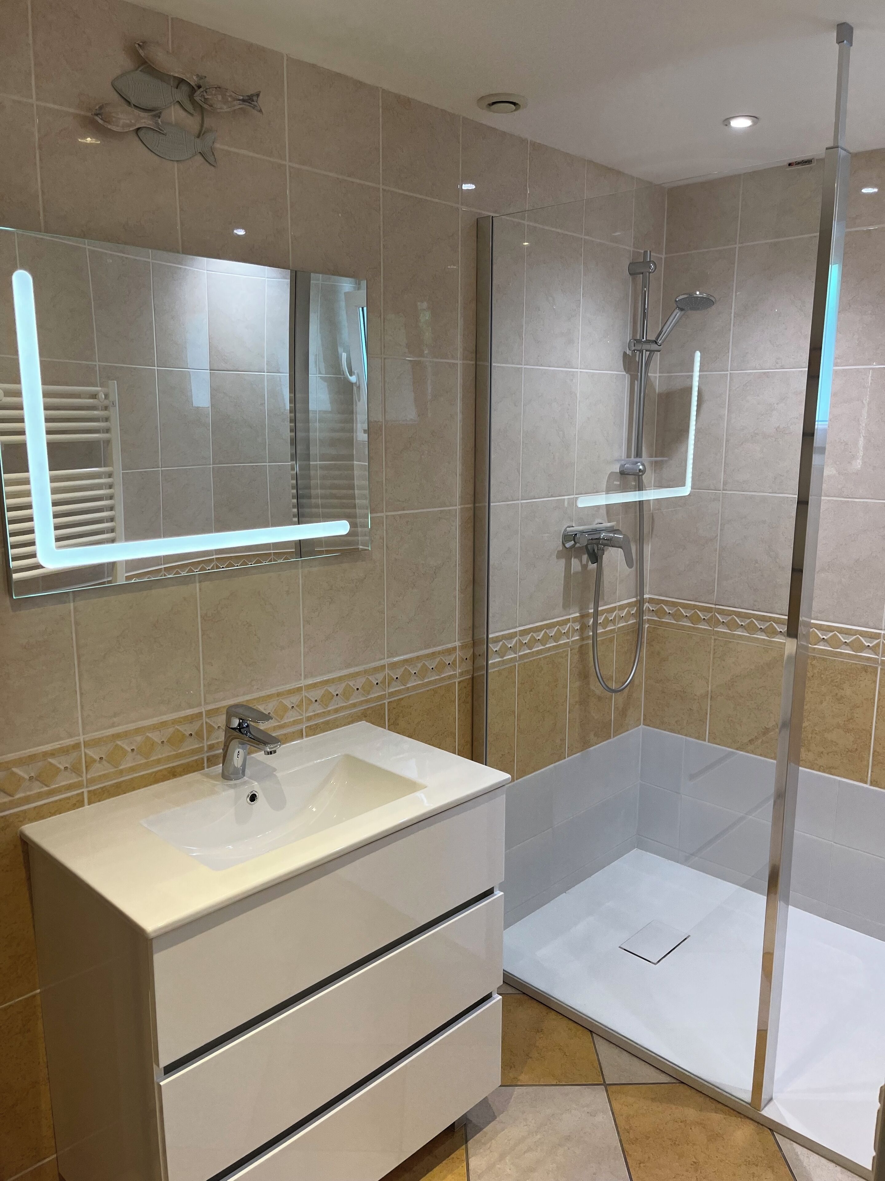 Shower, hair dryer