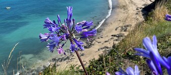 Huset ligger i sentrum av byen og i nærheten av stranden