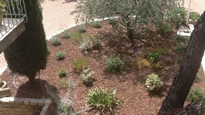 Un jardín ajardinado con diversos arbustos y un árbol, rodeado por un sendero de ladrillo.