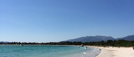 بالقرب من الشاطئ