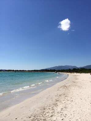 Playa en los alrededores