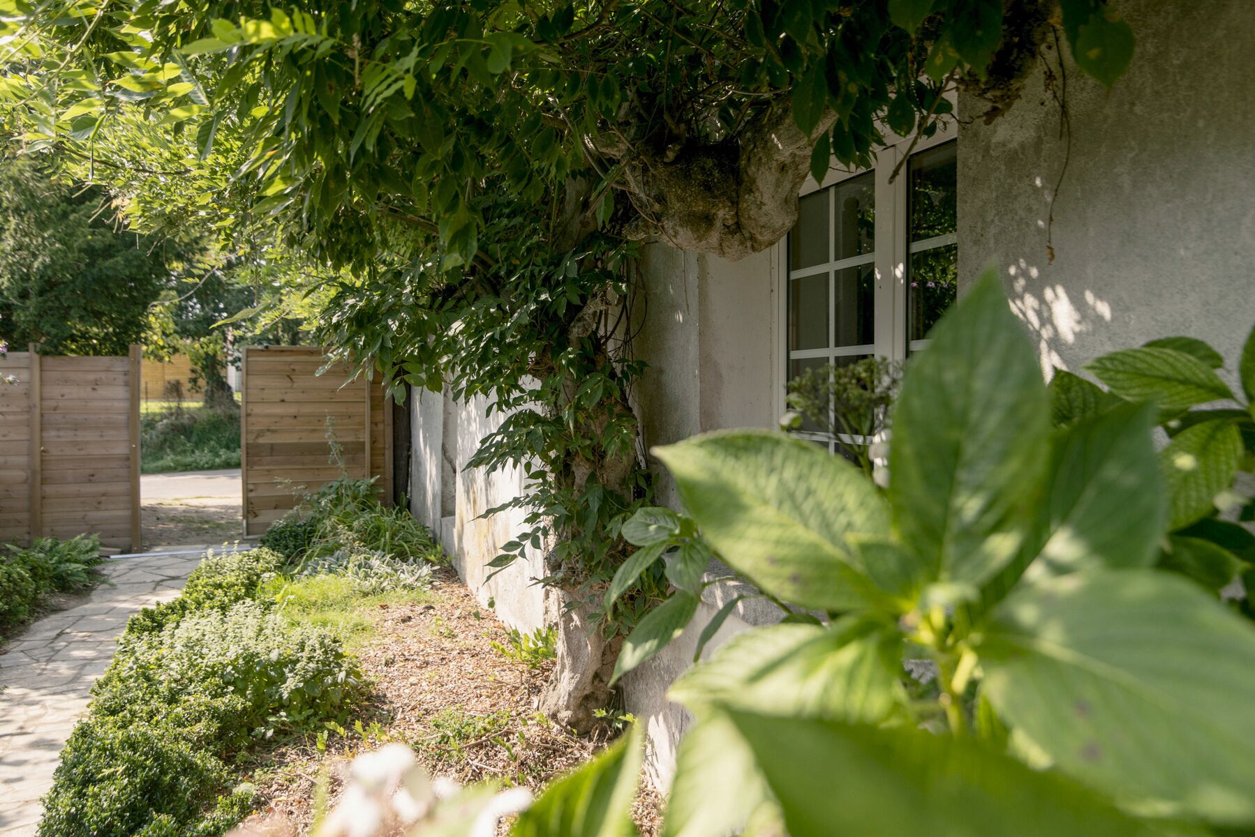 Un jardín con un sendero de piedra que lleva a un edificio con una ventana.