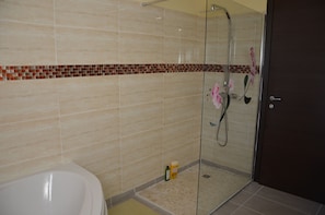 Combined shower/tub, hair dryer, toilet paper