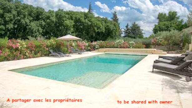 A rectangular swimming pool with a tiled deck, surrounded by lush greenery and a clear sky.