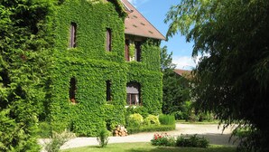 Un grand bâtiment recouvert de lierre, doté de nombreuses fenêtres et agrémenté d’un jardin bien entretenu.