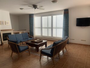 TV, fireplace
