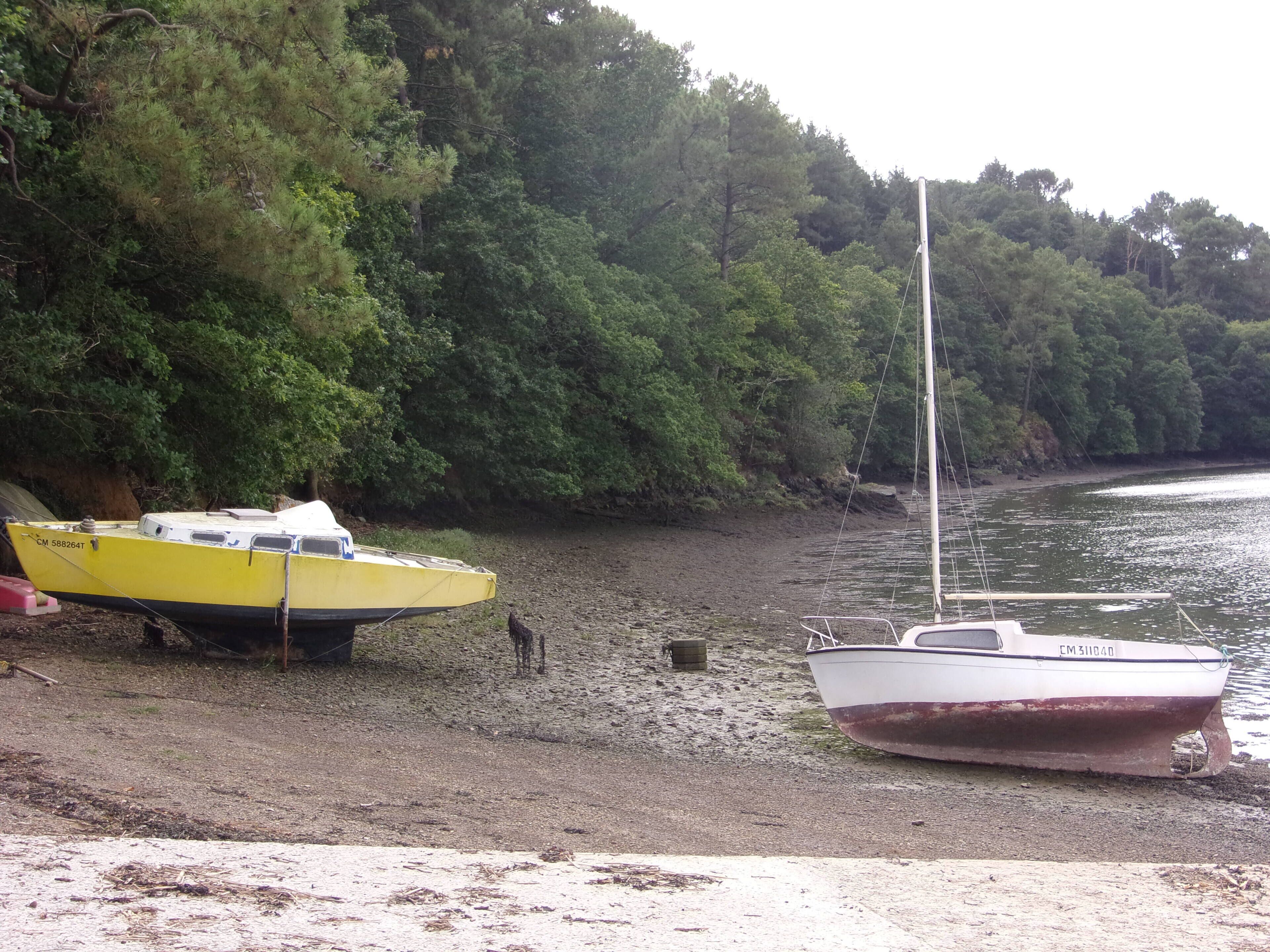 Dos barcos amarrados en una orilla arenosa con un bosque frondoso al fondo.