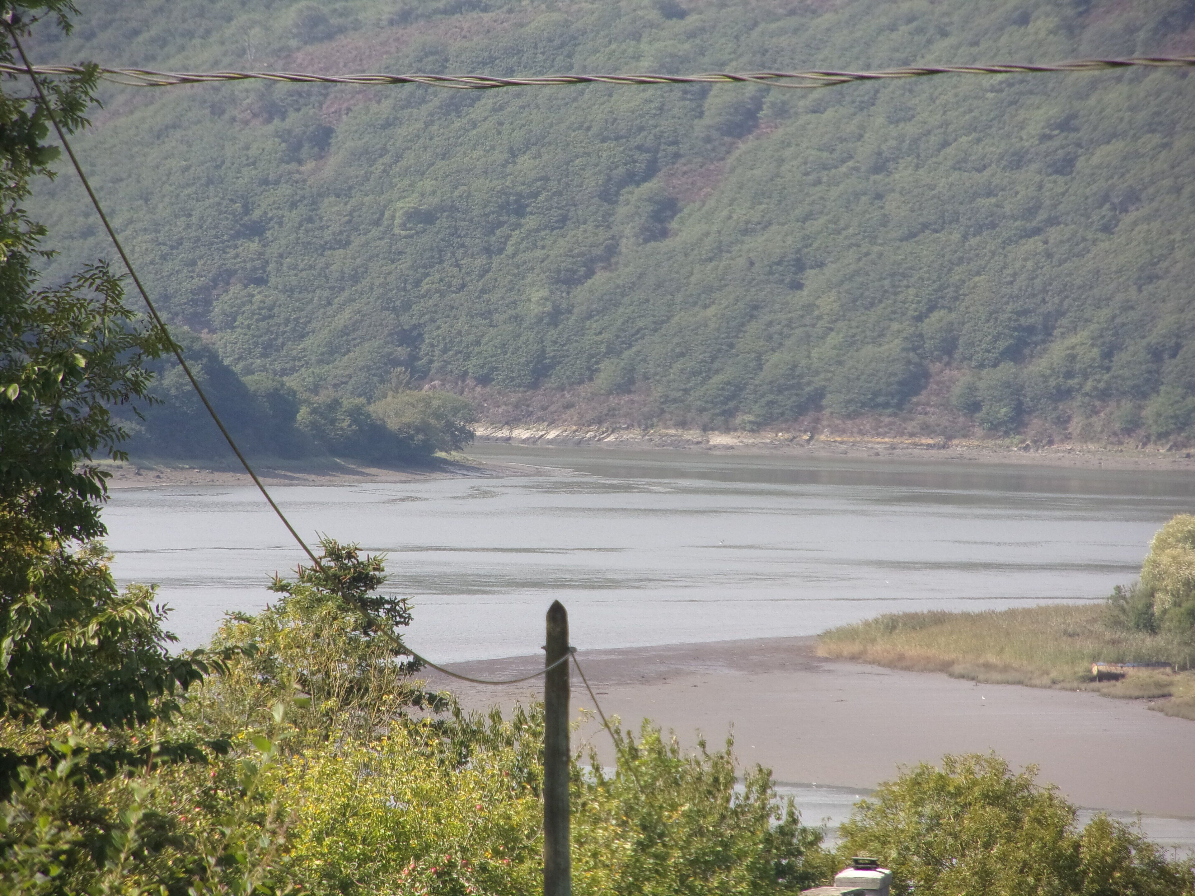 A river with a forested hillside in the background.
