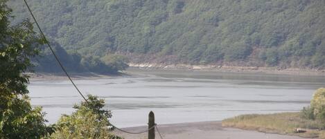 A river with a forested hillside in the background.